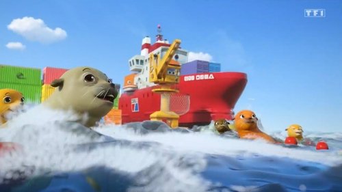 Les lions de mer