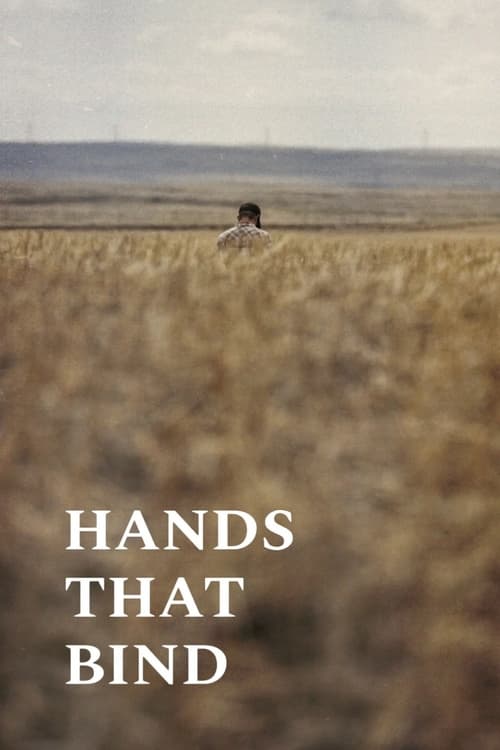 Hands that Bind poster