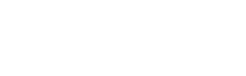 The Assistant
