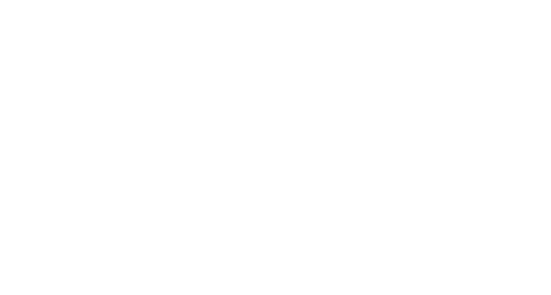 The Duel