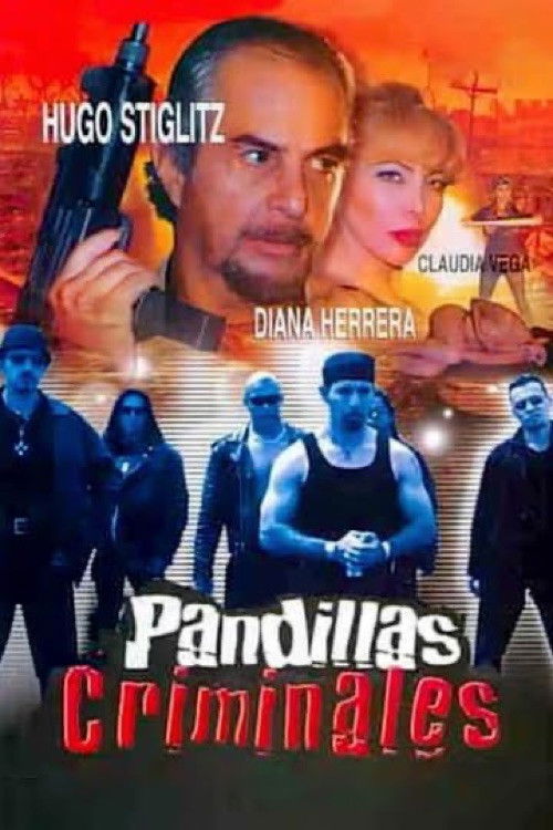 Pandillas criminales (2002) poster
