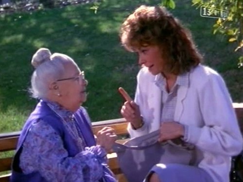 Escena del episodio 15 de la temporada 3 de la serie Scarecrow and Mrs. King