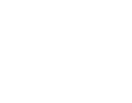 Youngstown Boys