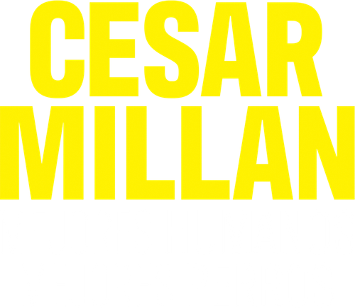 Cesar Millan: Better Human, Better Dog