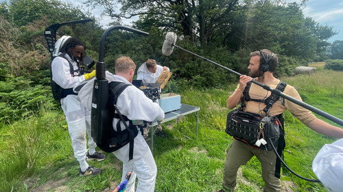 Segredos das Abelhas: 1×1