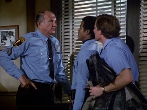 Poster della serie Hill Street Blues