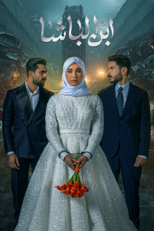 ابن الباشا - Poster