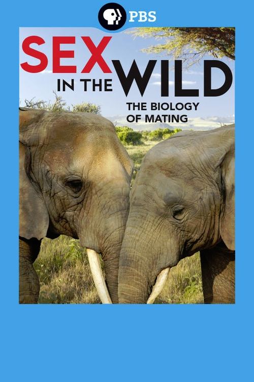 Sex In the Wild Season 1