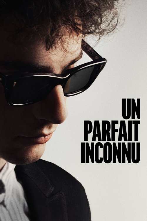 Affiche du film Un Parfait Inconnu