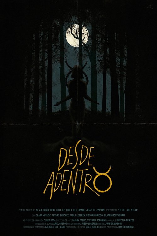 Desde Adentro