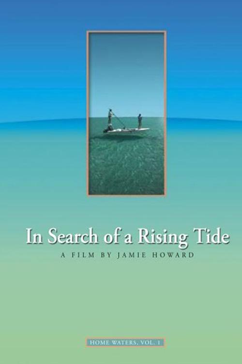 In Search of a Rising Tide 2005