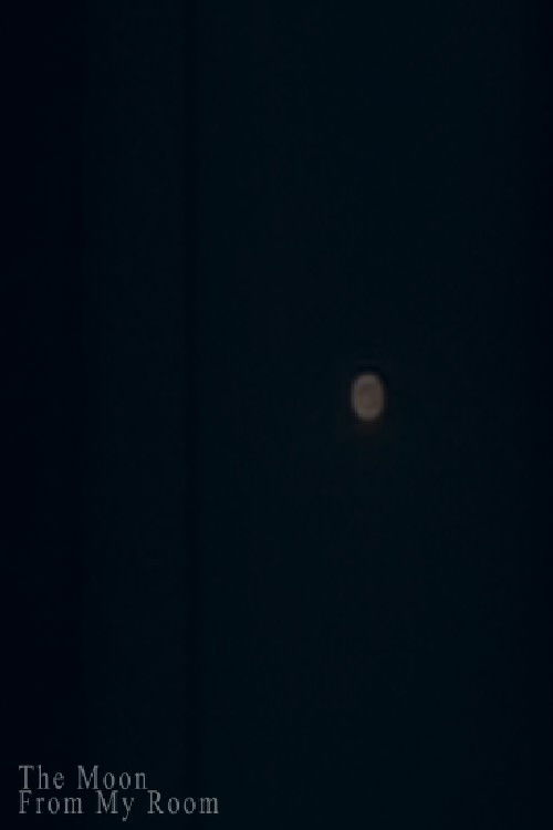 The Moon from My Room