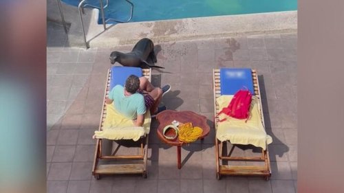 Image de l'épisode 9