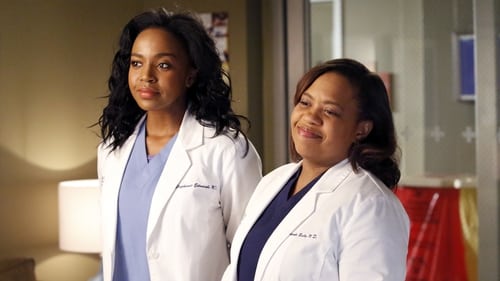 Grey's Anatomy - Season 10 - Episode 23: Everything I Try to Do, Nothing Seems to Turn Out Right