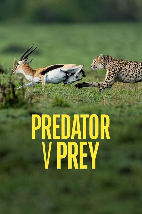 Predator v Prey poster
