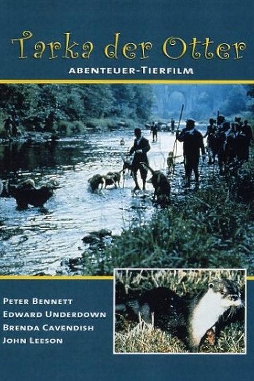 Tarka der Otter