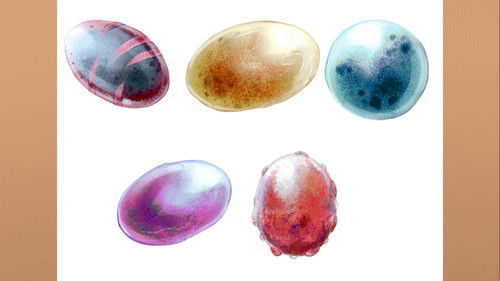 Image de l'épisode Épisode 14