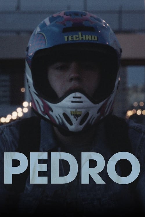 Poster Pedro 2016