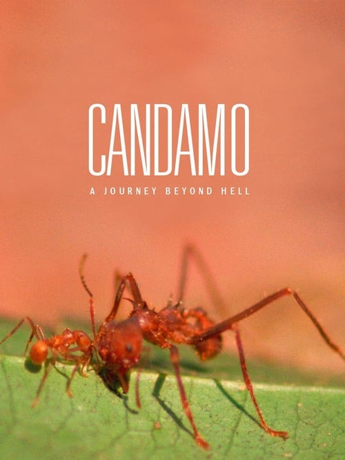 Candamo: Journey Beyond Hell