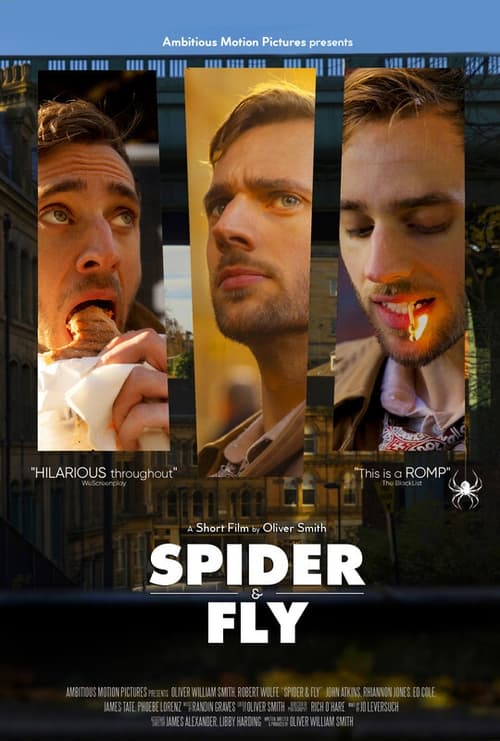 Spider & Fly (2024) poster