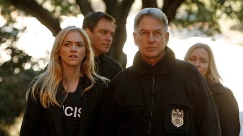 NCIS: Investigação Naval: 11×12