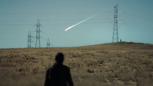 The Anatomy of the Horses