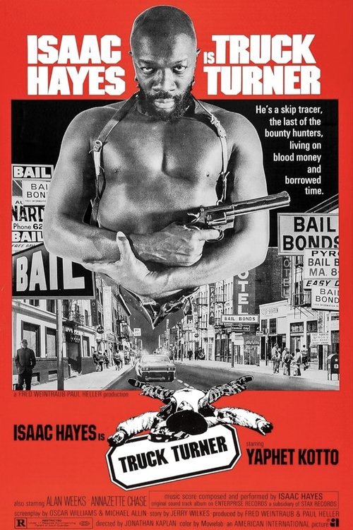 Poster 13