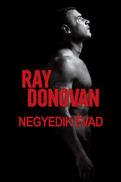 Ray Donovan 4. évad poszter