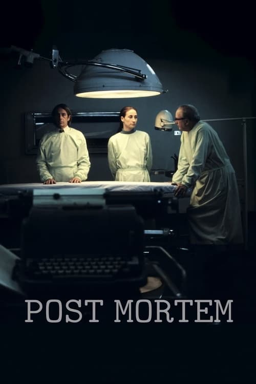 Largescale poster for Post Mortem