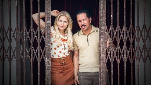 Cine Holliúdy: A Série