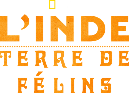 L'Inde : Terre de félins