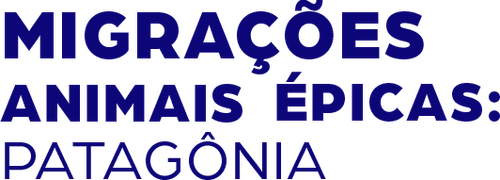 Epic Animal Migrations: Patagonia