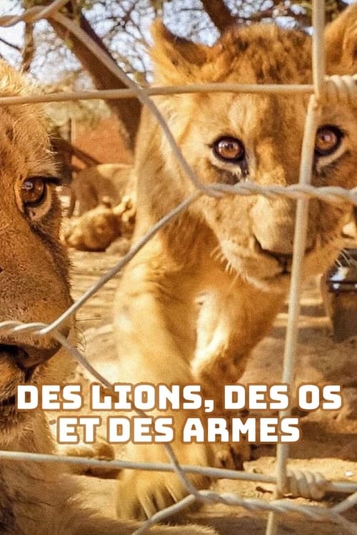 Des lions, des os et des armes - Le trafic des fauves