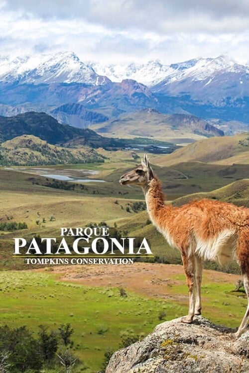 Poster Parque Patagonia 2017