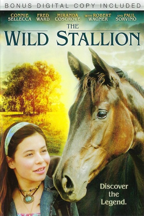 The Wild Stallion poster