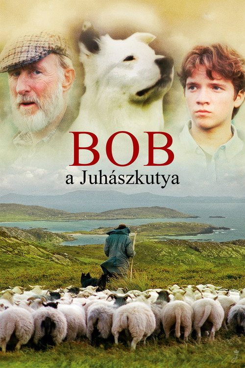 Bob, a juhászkutya filmplakátja