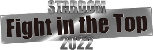 Stardom Fight in the Top 2022 ~Nagoya Summit Battle~