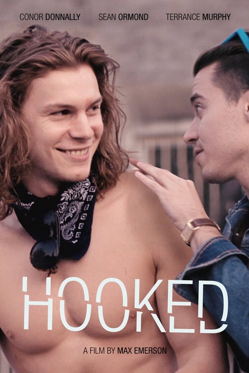 Poster 3