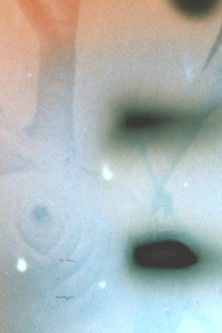 Idrish (ইদ্রিস) movie poster player