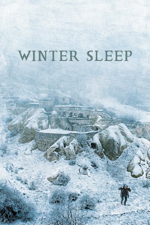 Poster Kış Uykusu 2014