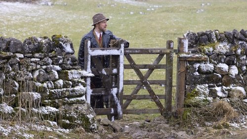 All Creatures Great & Small: 4×1