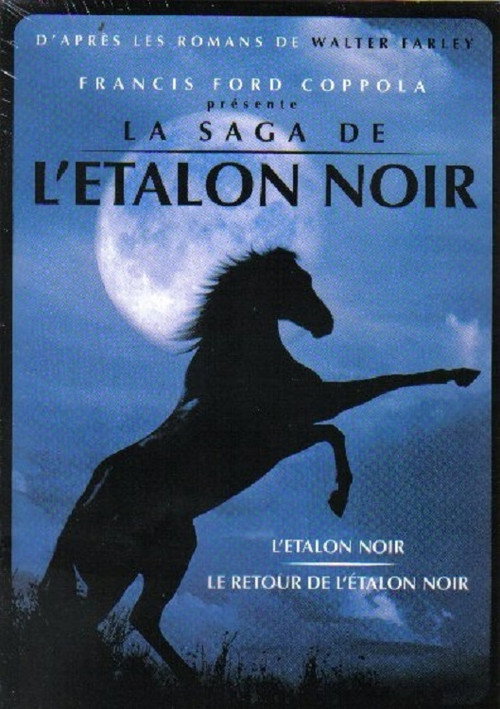 L'Étalon noir - Saga