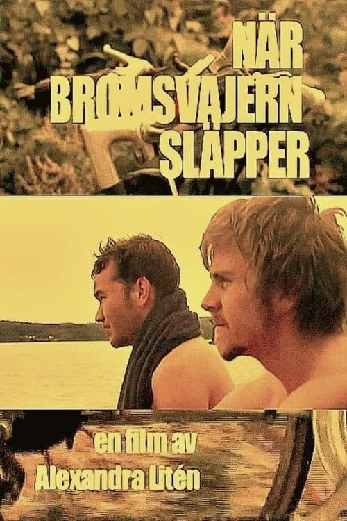 När bromsvajern släpper (2008) poster