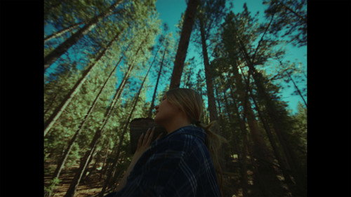 Of the Unseen Wildfires still