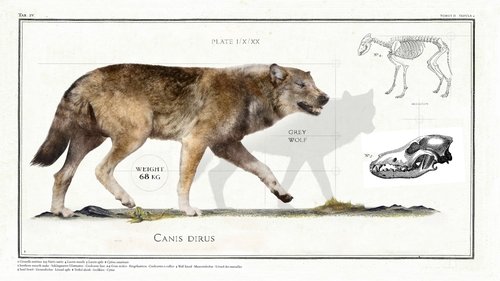 Big Beasts: Last of the Giants