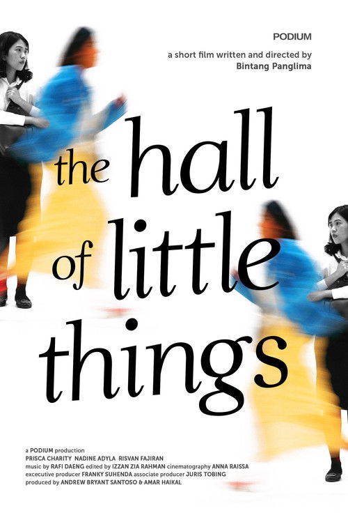 The Hall of Little Things poster