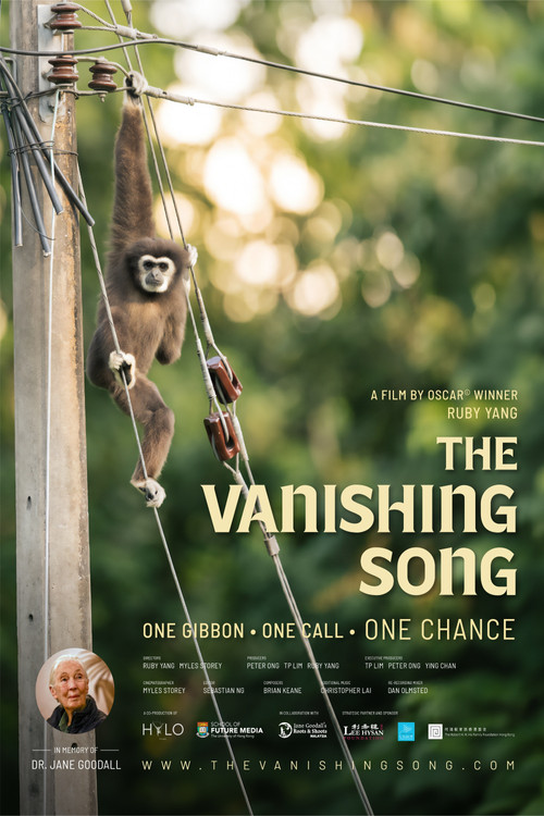 The Vanishing Song
