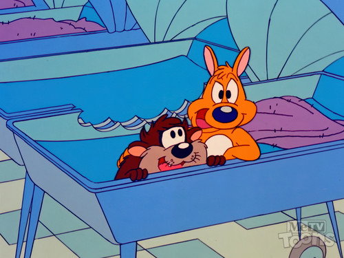 Friends for Strife