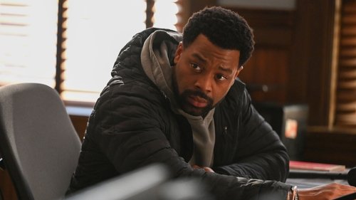 Chicago P.D.: Distrito 21: 12×17