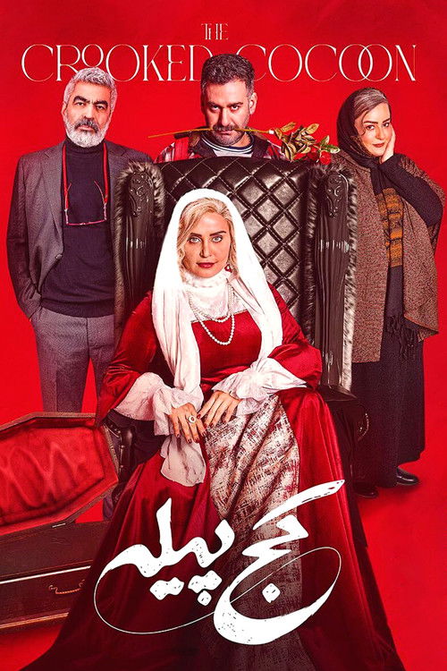 The Crooked Cocoon poster